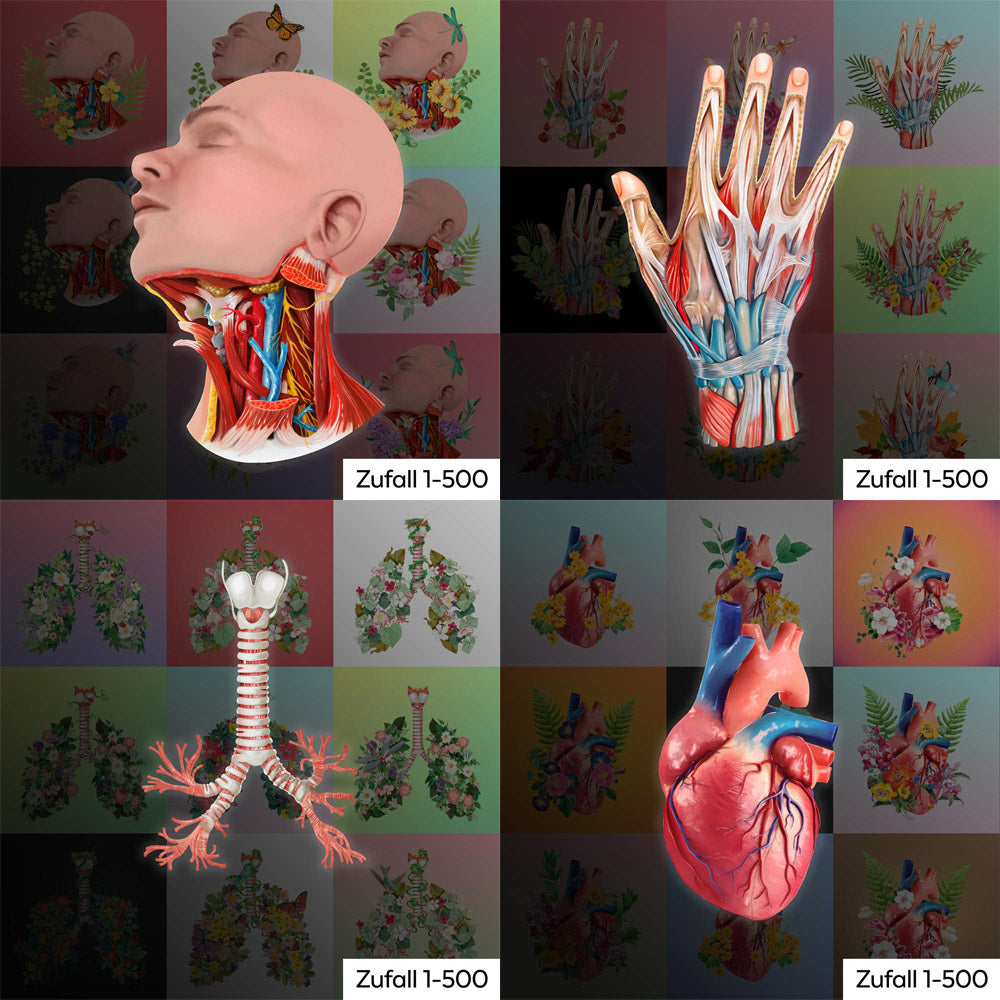 AnatomyLife Presale Collection - Giveaway Code