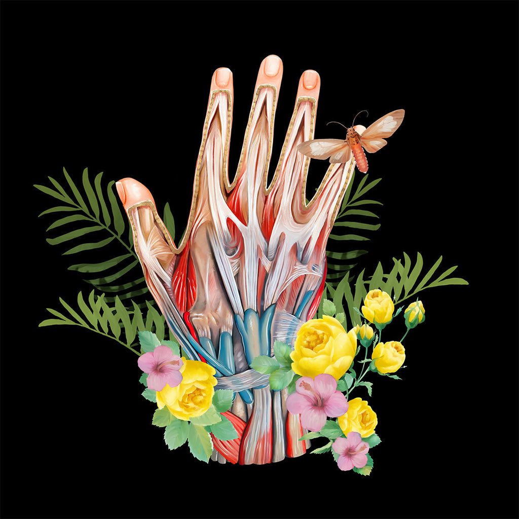 AnatomyLife Collection Hand 012