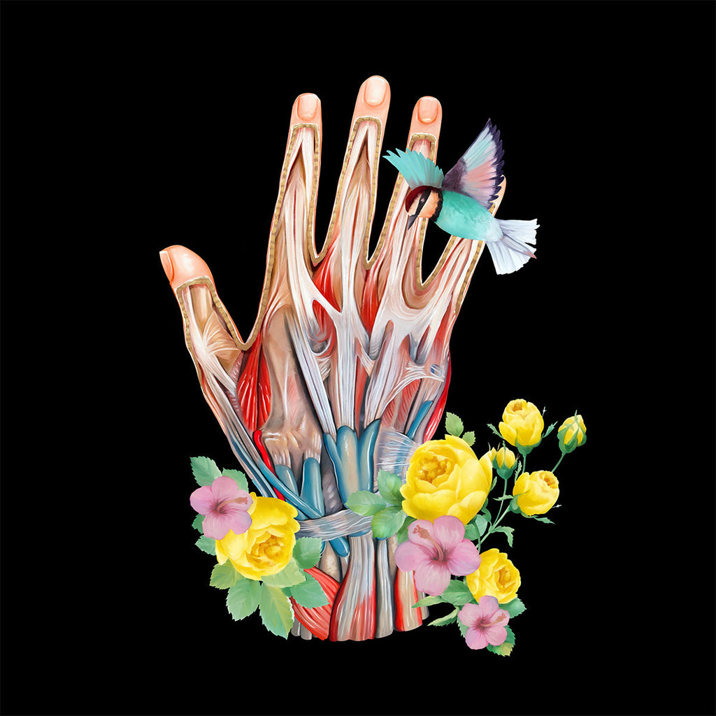 AnatomyLife Collection Hand 140