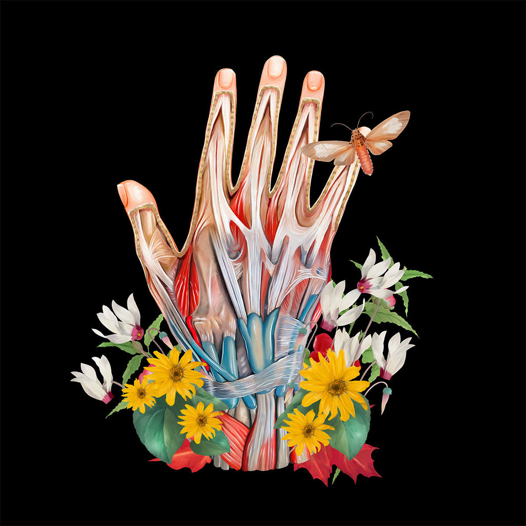 AnatomyLife Collection Hand 194