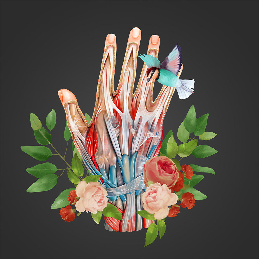 AnatomyLife Collection Hand 001