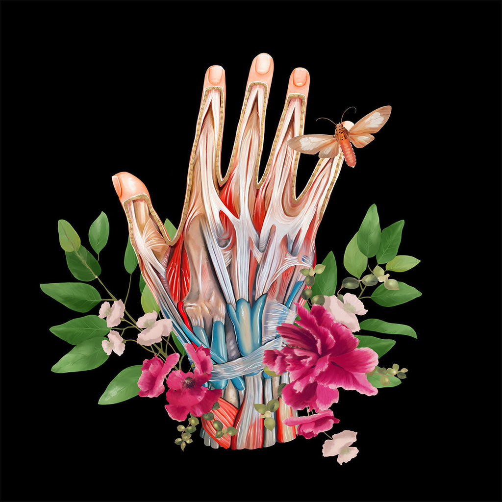 AnatomyLife Collection Hand 201