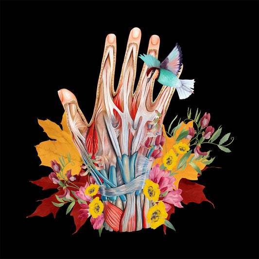 AnatomyLife Collection Hand 032