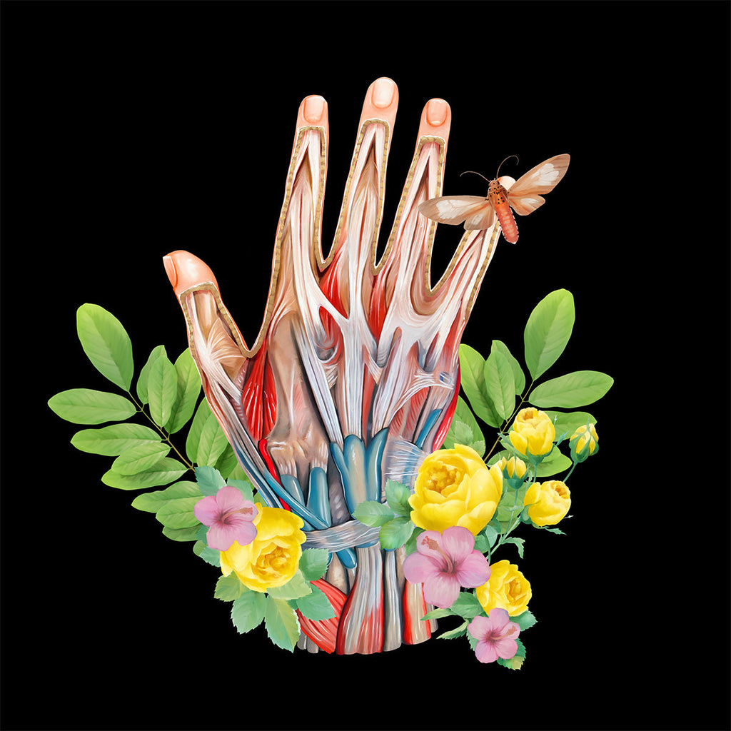 AnatomyLife Collection Hand 342