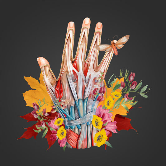 AnatomyLife Collection Hand 499