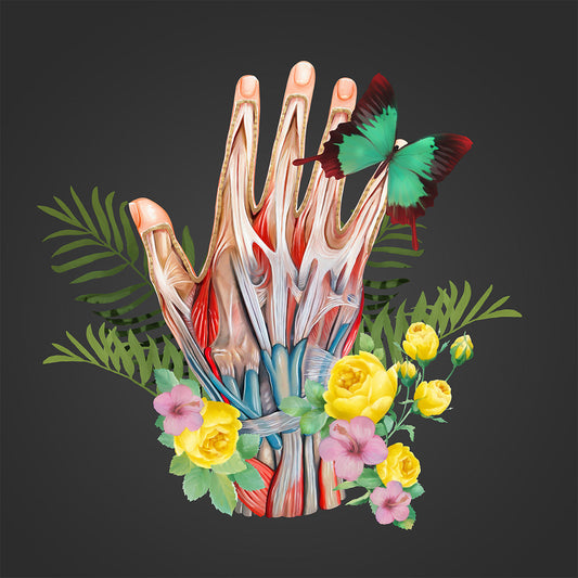 AnatomyLife Collection Hand 500
