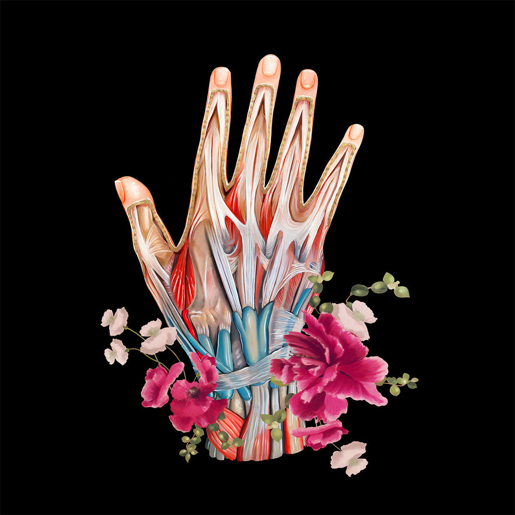 AnatomyLife Collection Hand 006