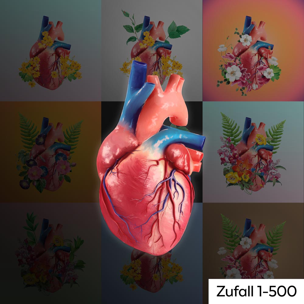 AnatomyLife Collection Herz Zufall 1-500