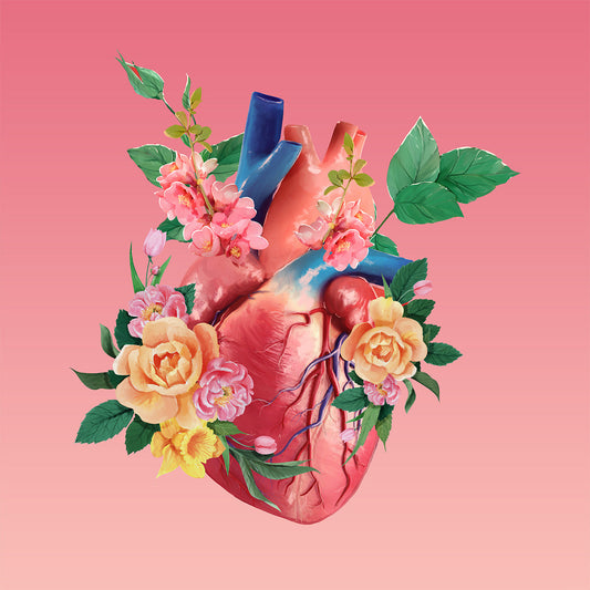 AnatomyLife Collection Herz 485