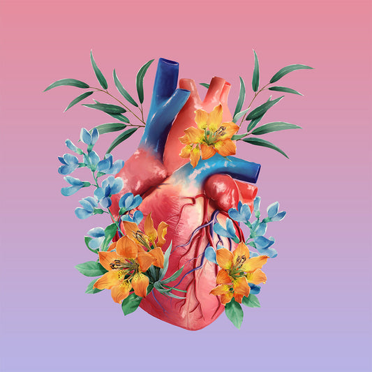 AnatomyLife Collection Herz 500