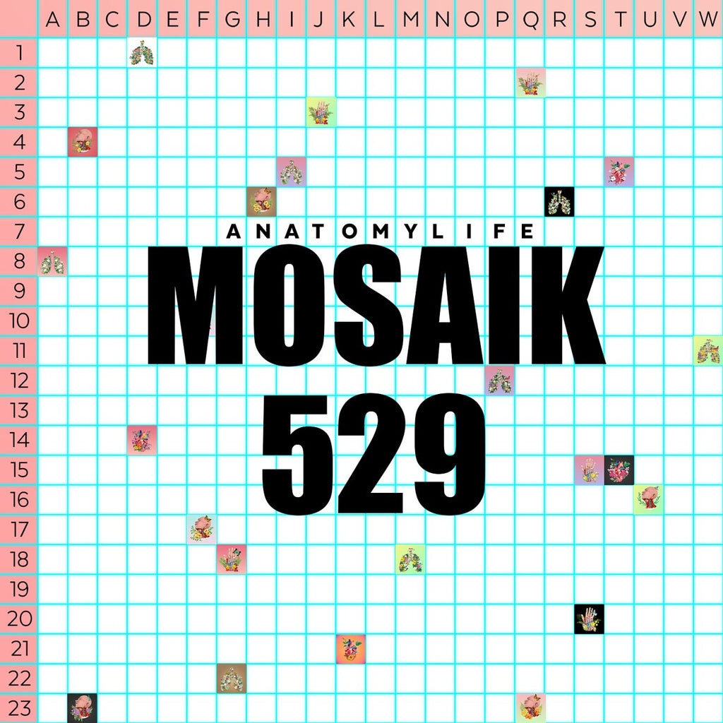 AnatomyLife Mosaik529 - U16