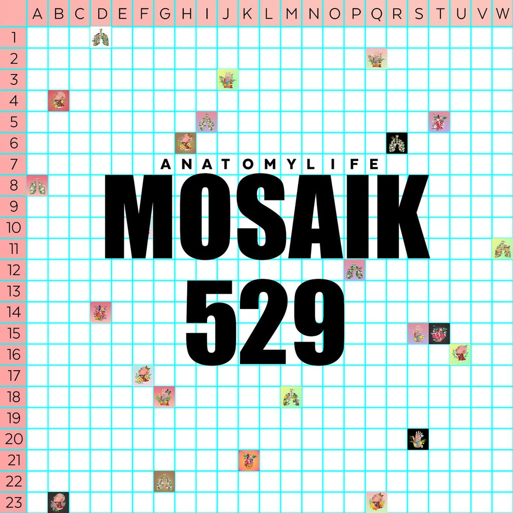 AnatomyLife Mosaik529 - M12